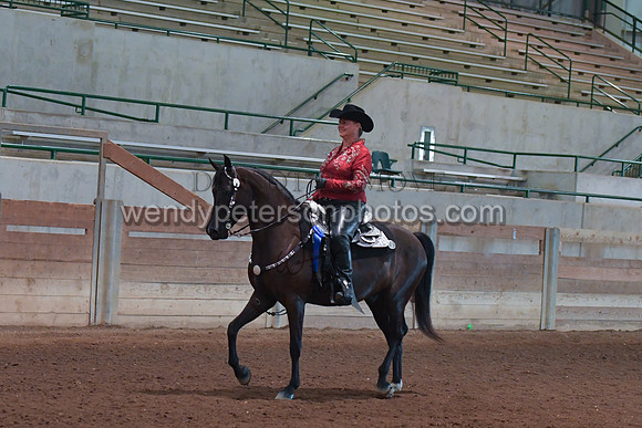 042_2554-Do_not_copy_PROOF