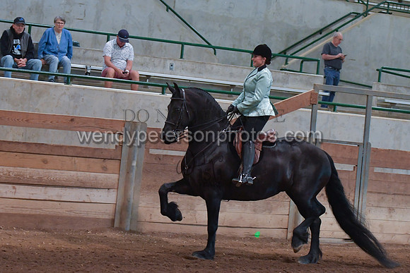 044_2565-Do_not_copy_PROOF