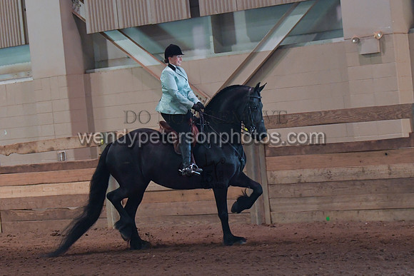 044_2569-Do_not_copy_PROOF