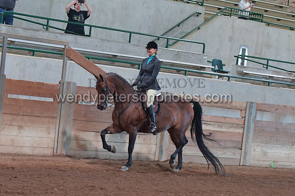 047_2619-Do_not_copy_PROOF