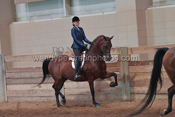 047_2650-Do_not_copy_PROOF