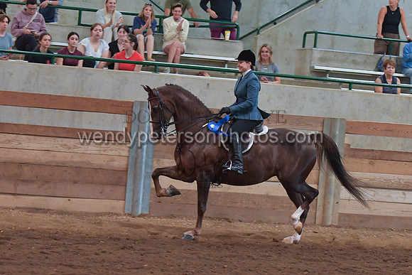 047_2660-Do_not_copy_PROOF