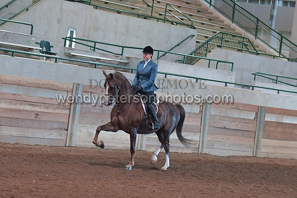 047_2620-Do_not_copy_PROOF