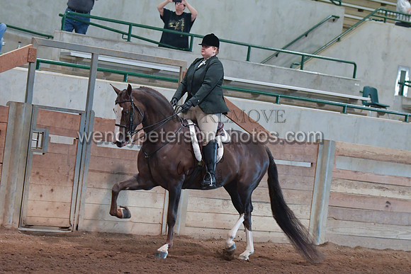 047_2631-Do_not_copy_PROOF