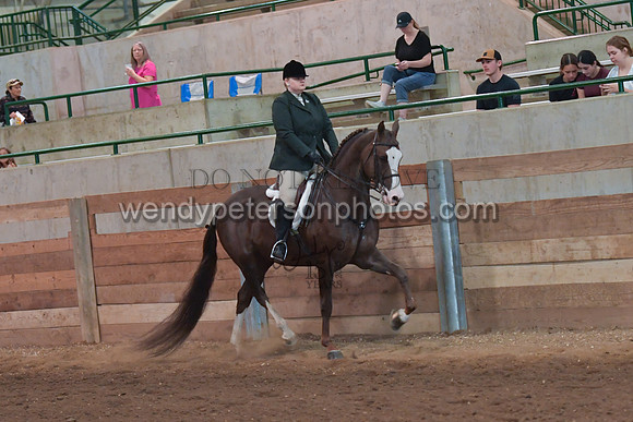 047_2641-Do_not_copy_PROOF