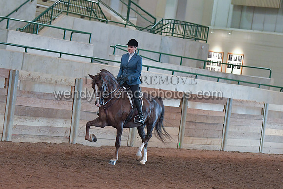 047_2632-Do_not_copy_PROOF