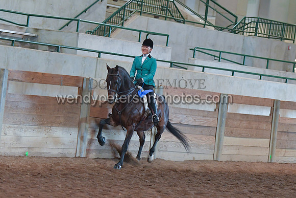 062_2915-Do_not_copy_PROOF