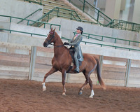 124 Saddle Seat Equitation Championship