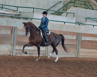 122 Morgan Hunter Pleasure Championship