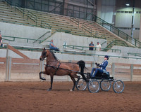 117 Morgan Park Harness Stake