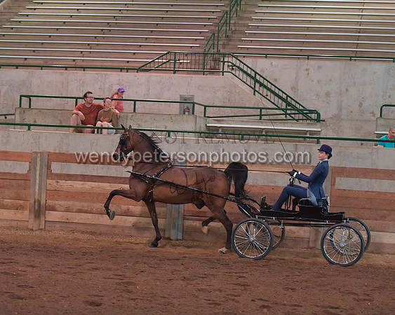 117_4651-Do_not_copy_PROOF