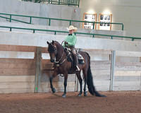 110 Morgan Western Pleasure Walk-Trot 11 & Under Championship