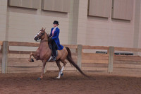 109 Park Horse 14-17