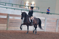 109 Morgan Hunter Pleasure JR EX Championship