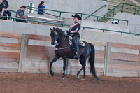 107 Morgan Western Pleasure Championship
