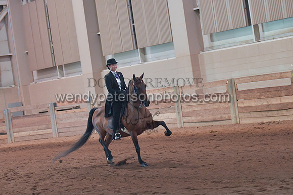 103_4358-Do_not_copy_PROOF