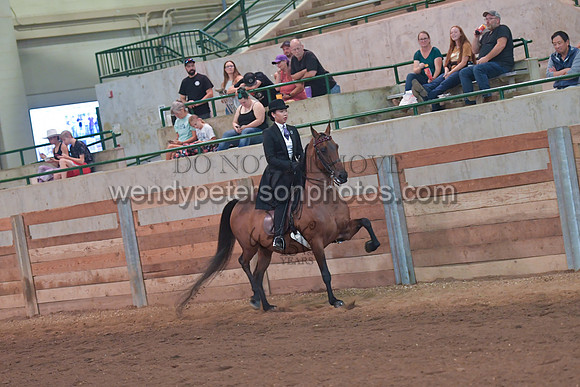 103_4355-Do_not_copy_PROOF