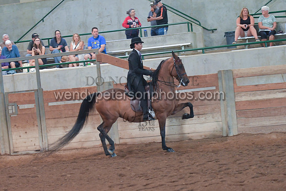 103_4357-Do_not_copy_PROOF