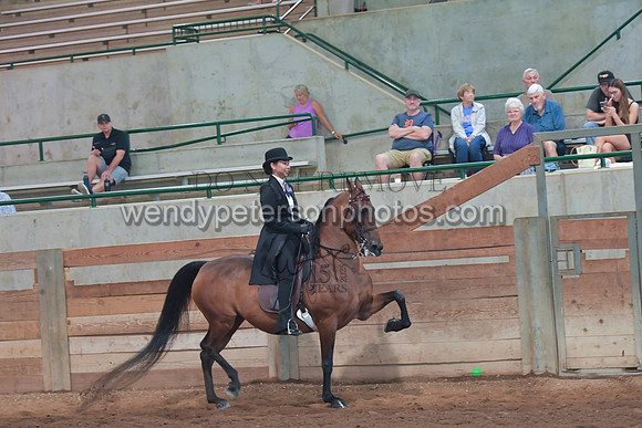 103_4351-Do_not_copy_PROOF