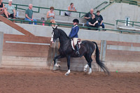 102 Hunt Seat Equitation Walk-Trot 11 & Under Championship
