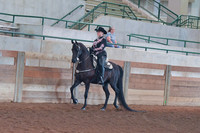 101 Morgan Western Pleasure Amateur 18 & Over Championship