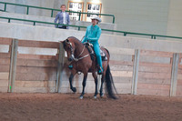100 Western Seat Equitation Championship