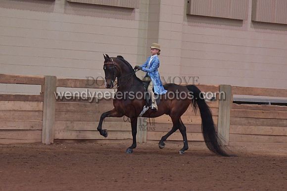 098_4113-Do_not_copy_PROOF