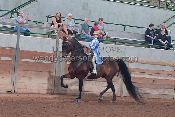 098_4123-Do_not_copy_PROOF