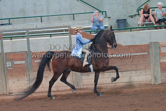 098_4133-Do_not_copy_PROOF