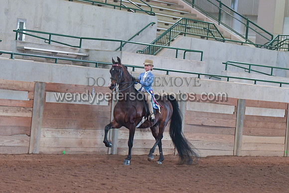 098_4156-Do_not_copy_PROOF