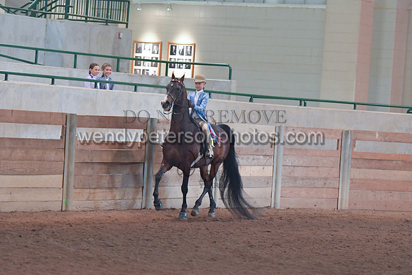 098_4154-Do_not_copy_PROOF