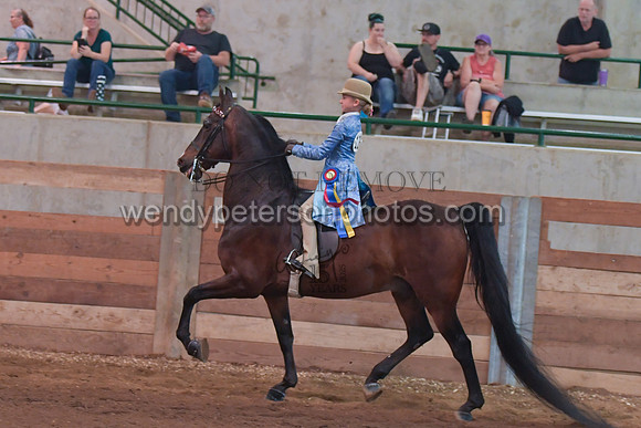 098_4160-Do_not_copy_PROOF