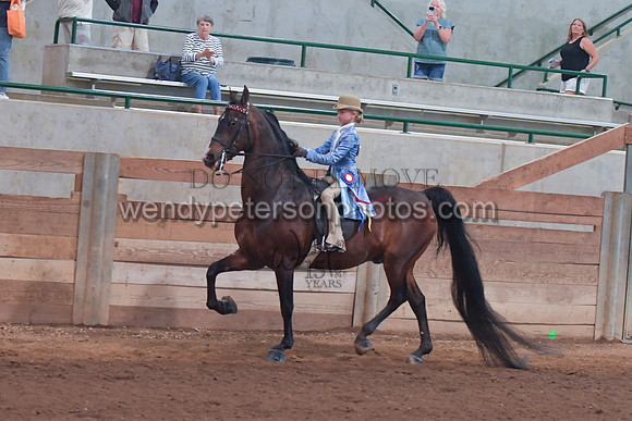 098_4159-Do_not_copy_PROOF