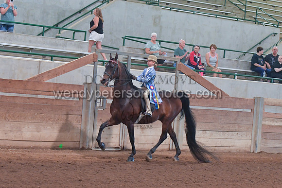 098_4158-Do_not_copy_PROOF