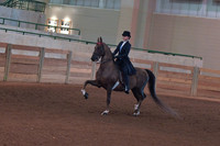 94 Morgan Classic Pleasure Saddle Championship