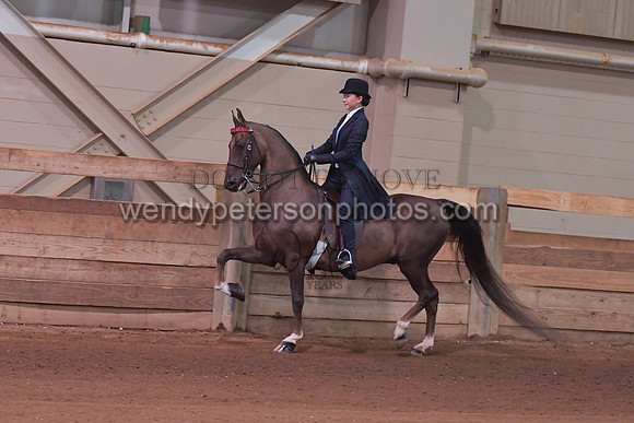 094_4037-Do_not_copy_PROOF