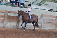 315 Academy Horsemanship WT 8 & Under