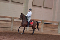 309 Academy Horsemanship WT 14 & Over