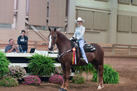 Dressage Awards