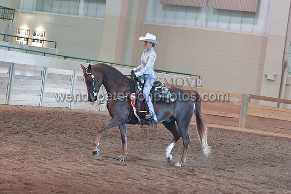 00E_3061-Do_not_copy_PROOF