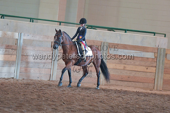 00E_3067-Do_not_copy_PROOF