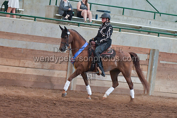 00E_3091-Do_not_copy_PROOF