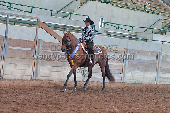 00E_3109-Do_not_copy_PROOF