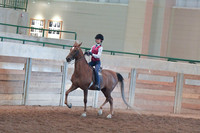 305 Academy Horsemanship WTC 14-17