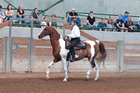303 Academy Horsemanship WTC 18 & Over