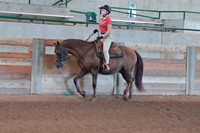 300 Academy Exceptional Rider Horsemanship WT