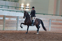 021 Morgan Hunter Junior Horse