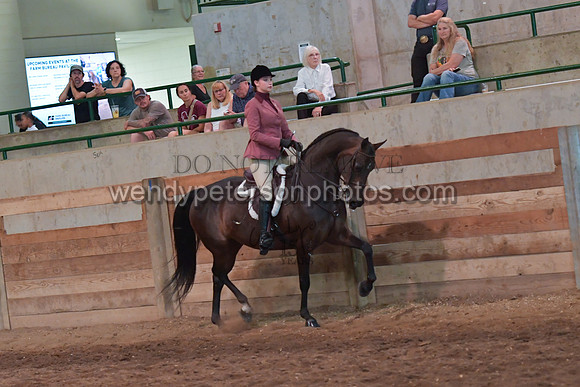068_3003-Do_not_copy_PROOF