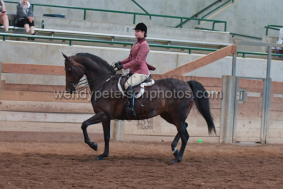 068_2995-Do_not_copy_PROOF