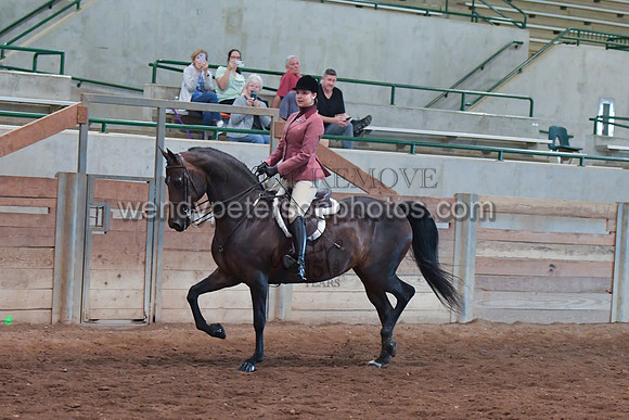 068_2994-Do_not_copy_PROOF